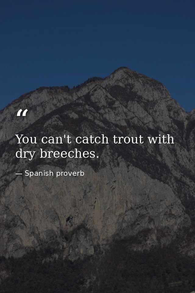 You can't catch trout with dry breeches. — Spanish proverb
