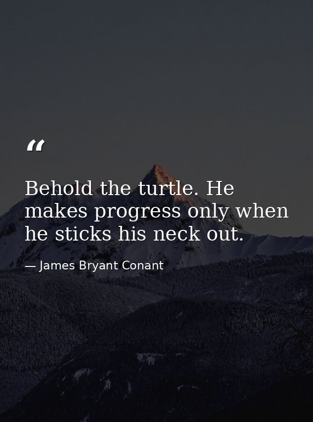 Behold the turtle. He makes progress only when he sticks his neck out. — James Bryant Conant