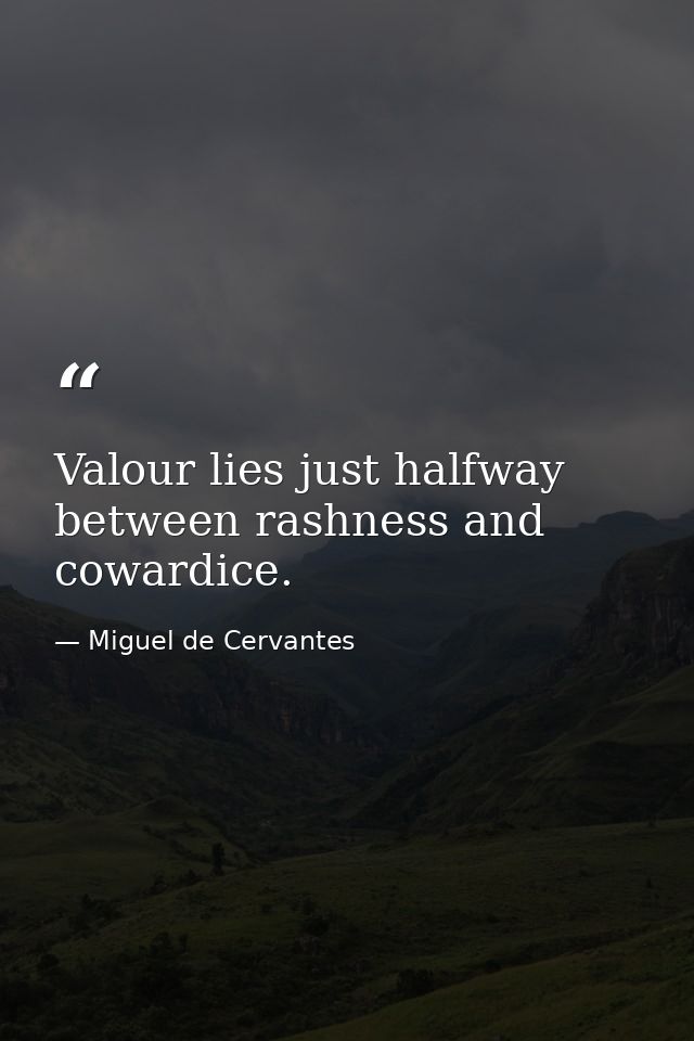Valour lies just halfway between rashness and cowardice. — Miguel de Cervantes