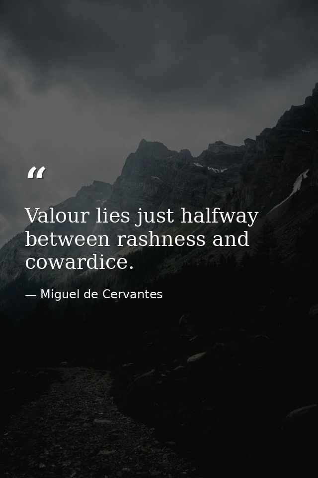 Valour lies just halfway between rashness and cowardice. — Miguel de Cervantes