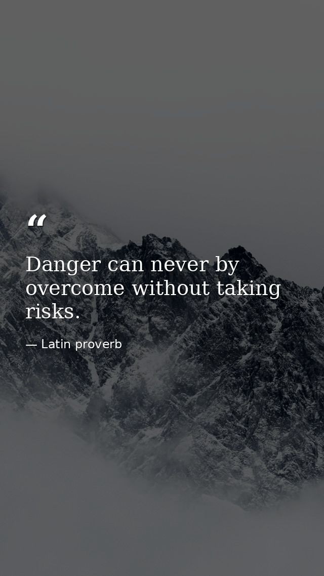 Danger can never by overcome without taking risks. — Latin proverb