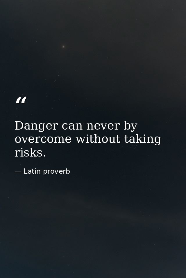 Danger can never by overcome without taking risks. — Latin proverb