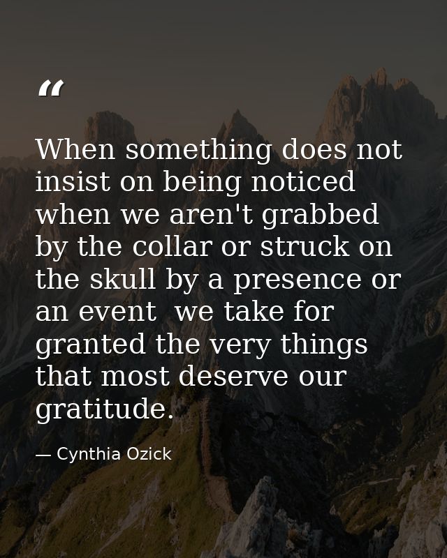When something does not insist on being noticed  when we aren't grabbed by the collar or struck on the skull by a presen — Cynthia Ozick