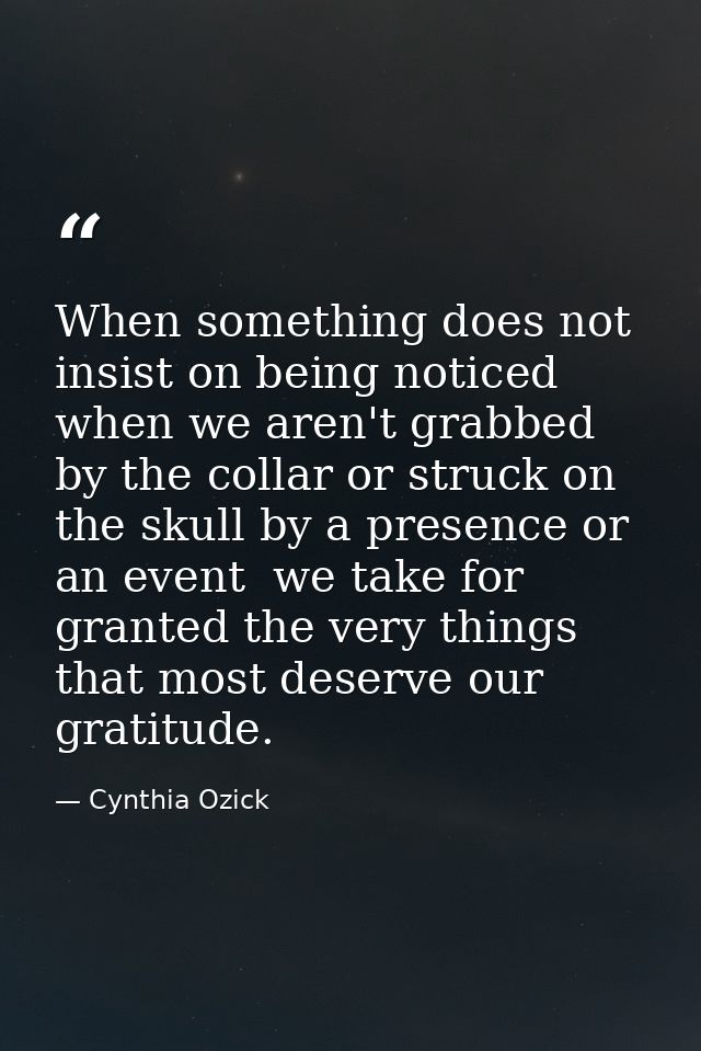 When something does not insist on being noticed  when we aren't grabbed by the collar or struck on the skull by a presen — Cynthia Ozick