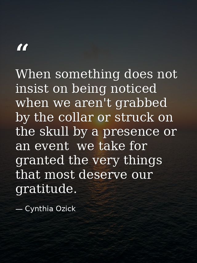 When something does not insist on being noticed  when we aren't grabbed by the collar or struck on the skull by a presen — Cynthia Ozick