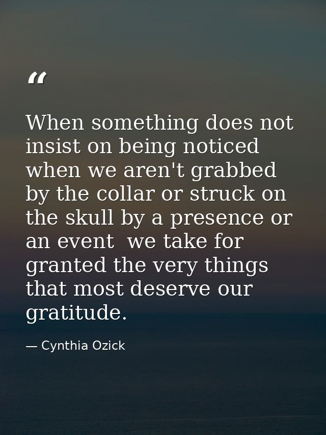 When something does not insist on being noticed  when we aren't grabbed by the collar or struck on the skull by a presen — Cynthia Ozick