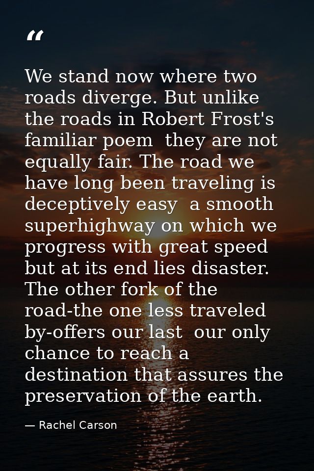 We stand now where two roads diverge. But unlike the roads in Robert Frost's familiar poem  they are not equally fair. T — Rachel Carson