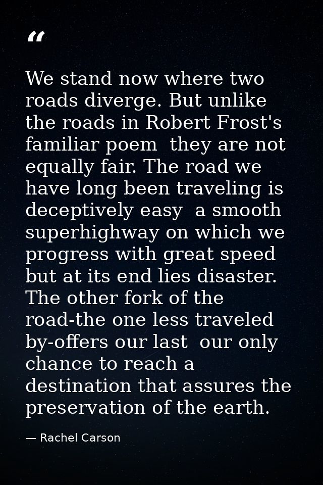 We stand now where two roads diverge. But unlike the roads in Robert Frost's familiar poem  they are not equally fair. T — Rachel Carson
