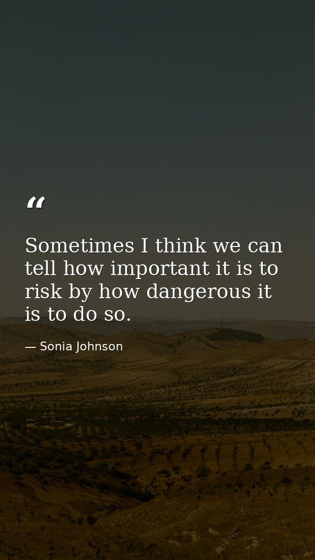 Sometimes I think we can tell how important it is to risk by how dangerous it is to do so. — Sonia Johnson