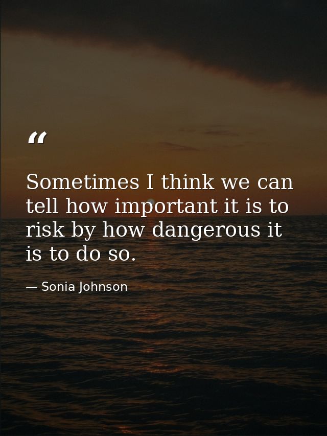 Sometimes I think we can tell how important it is to risk by how dangerous it is to do so. — Sonia Johnson