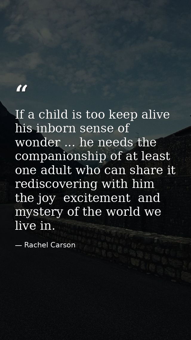 If a child is too keep alive his inborn sense of wonder ... he needs the companionship of at least one adult who can sha — Rachel Carson