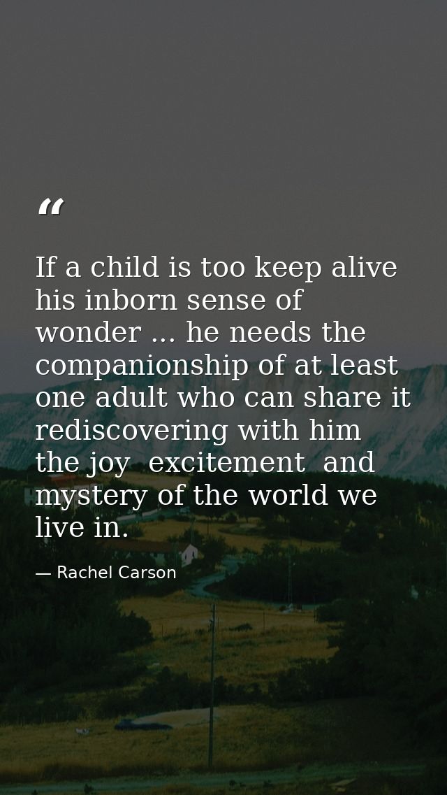 If a child is too keep alive his inborn sense of wonder ... he needs the companionship of at least one adult who can sha — Rachel Carson