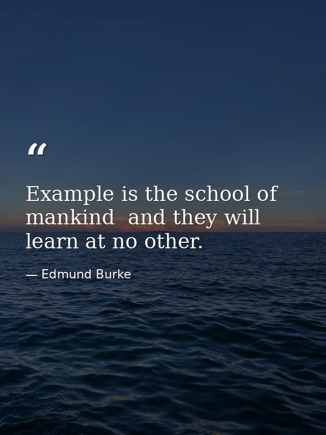 Example is the school of mankind  and they will learn at no other. — Edmund Burke