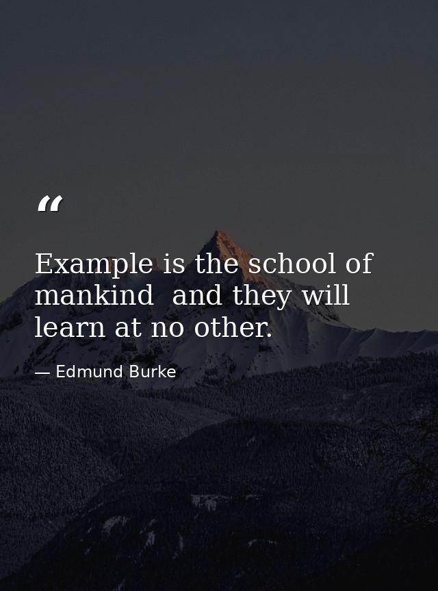 Example is the school of mankind  and they will learn at no other. — Edmund Burke