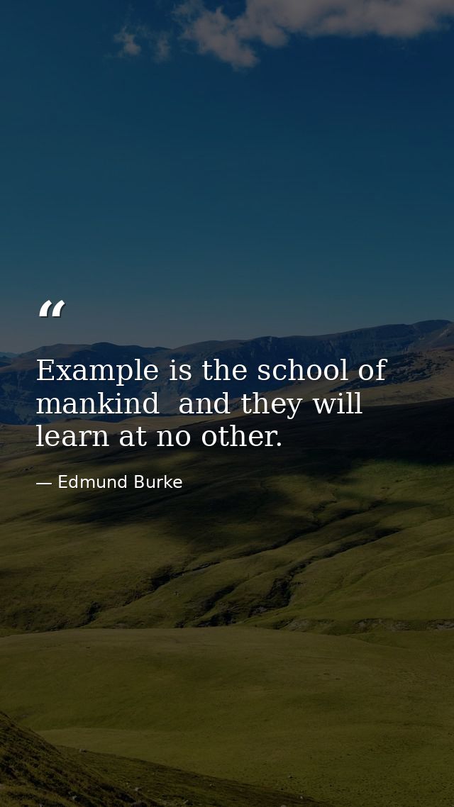 Example is the school of mankind  and they will learn at no other. — Edmund Burke