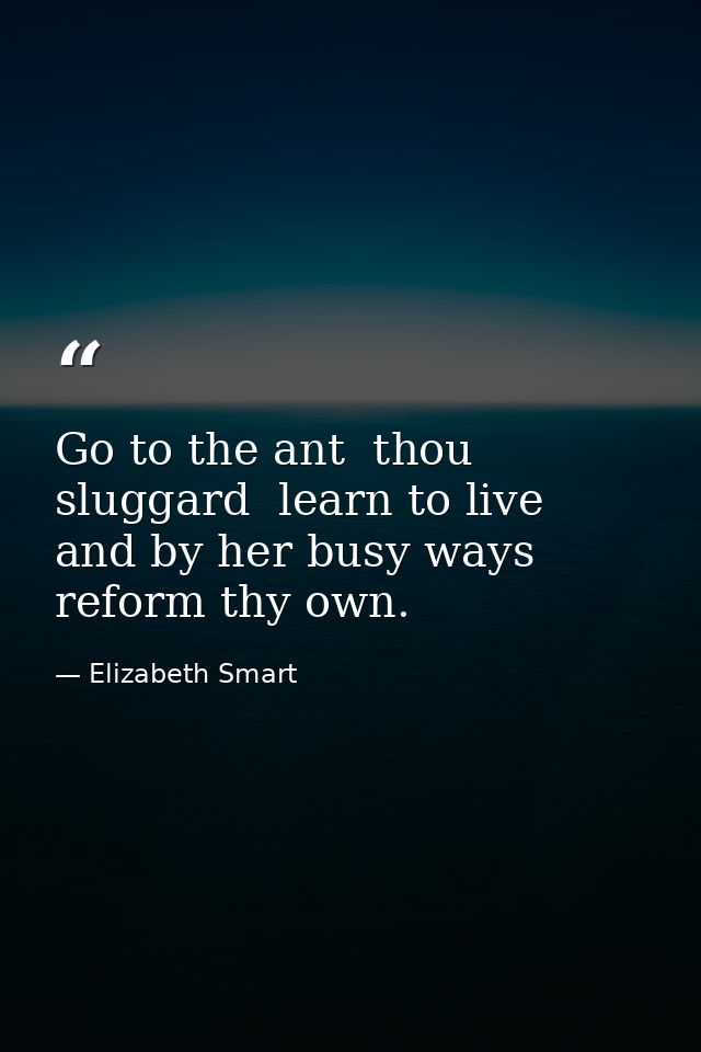 Go to the ant  thou sluggard  learn to live  and by her busy ways  reform thy own. — Elizabeth Smart