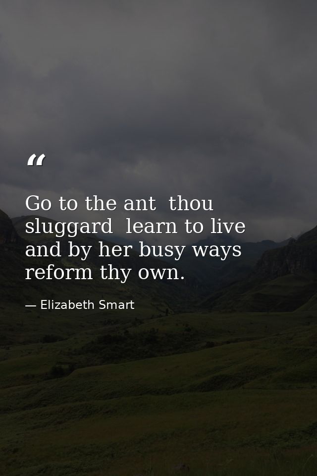Go to the ant  thou sluggard  learn to live  and by her busy ways  reform thy own. — Elizabeth Smart