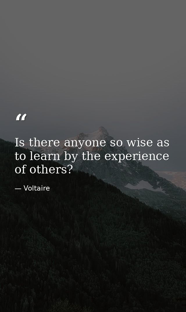 Is there anyone so wise as to learn by the experience of others? — Voltaire