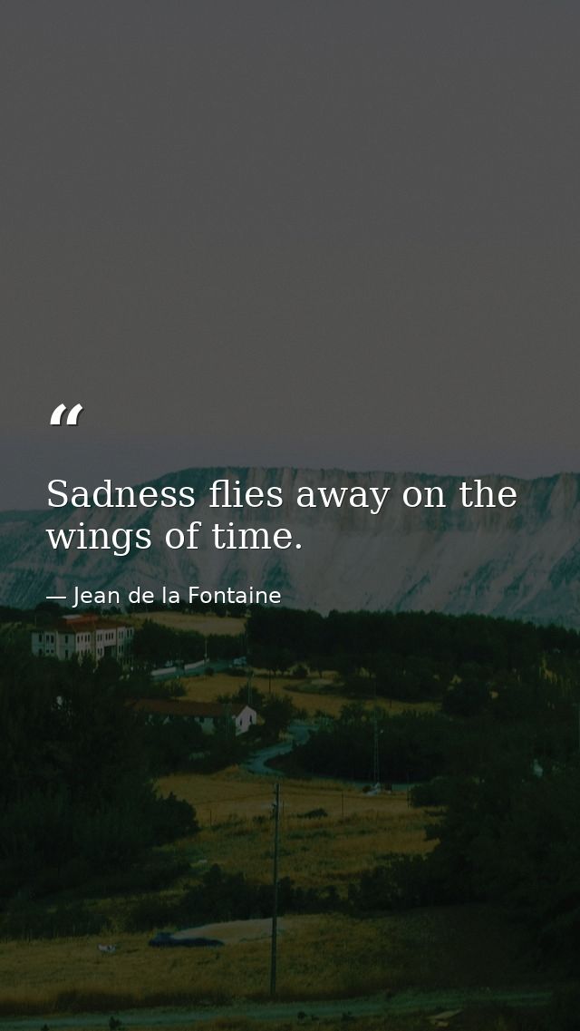 Sadness flies away on the wings of time. — Jean de la Fontaine