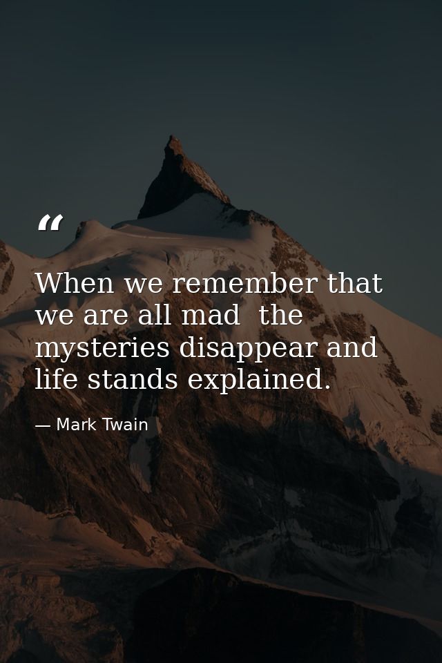 When we remember that we are all mad  the mysteries disappear and life stands explained. — Mark Twain