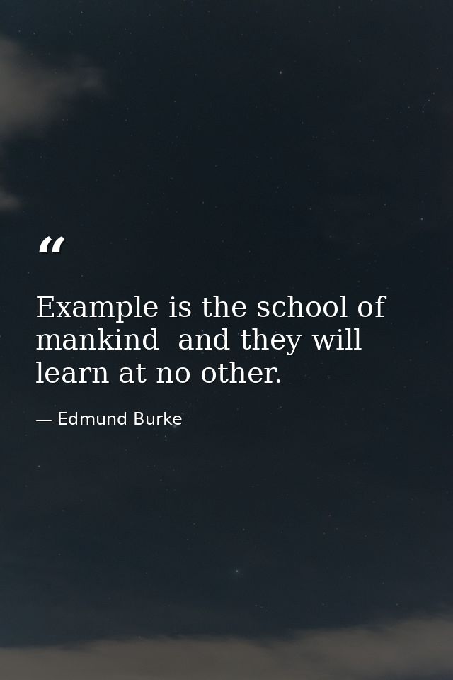 Example is the school of mankind  and they will learn at no other. — Edmund Burke