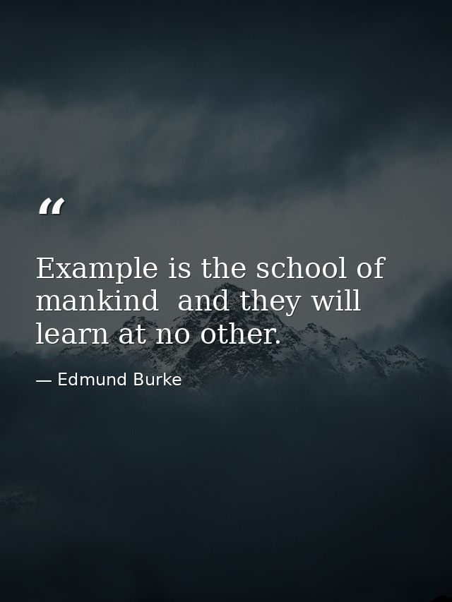 Example is the school of mankind  and they will learn at no other. — Edmund Burke