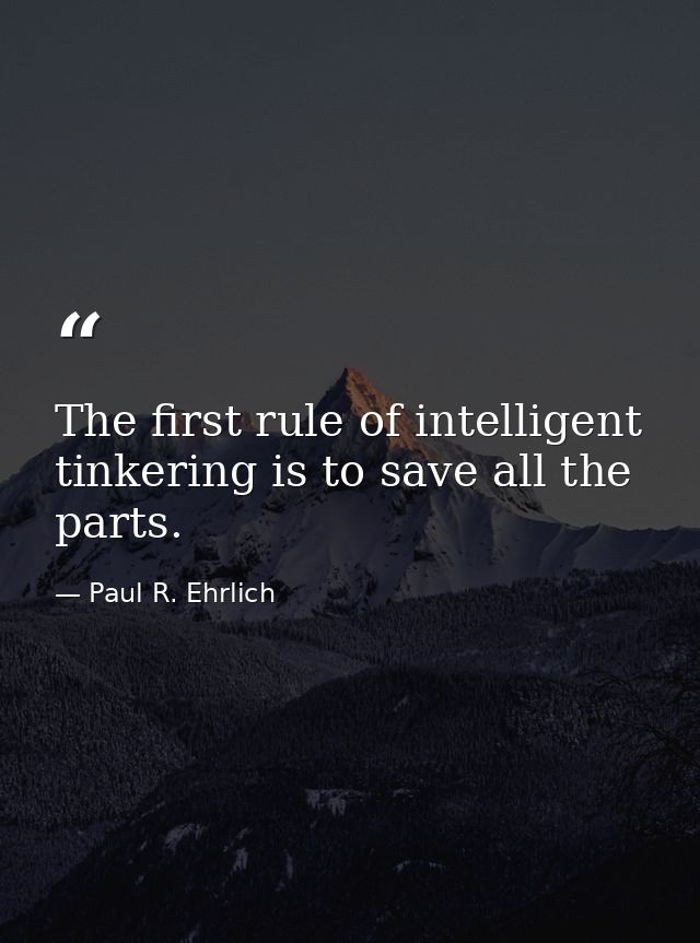 The first rule of intelligent tinkering is to save all the parts. — Paul R. Ehrlich