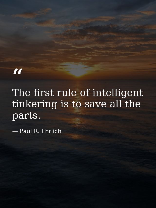 The first rule of intelligent tinkering is to save all the parts. — Paul R. Ehrlich
