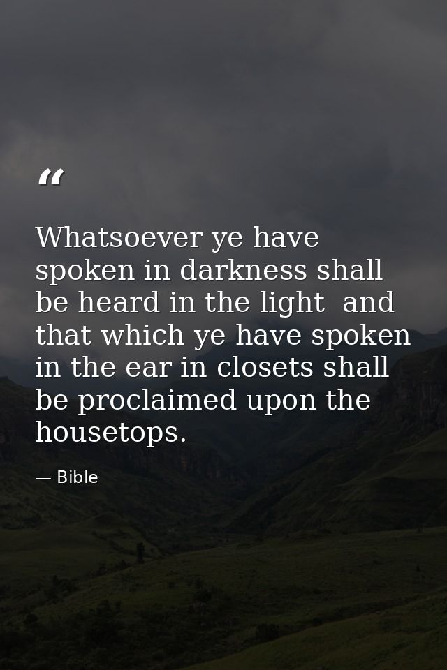 Whatsoever ye have spoken in darkness shall be heard in the light  and that which ye have spoken in the ear in closets s — Bible