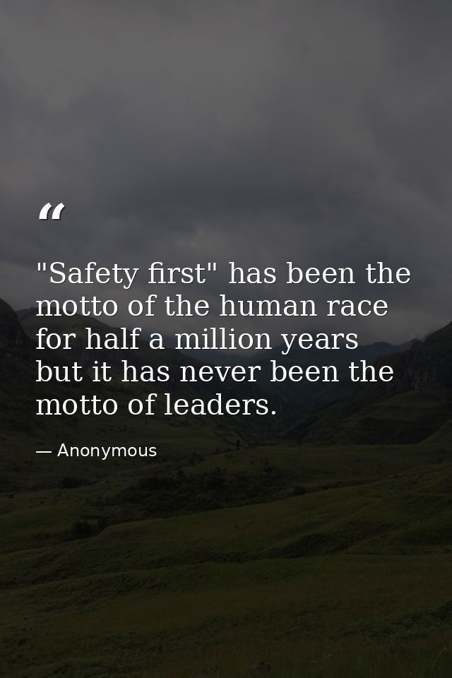 "Safety first" has been the motto of the human race for half a million years  but it has never been the motto of leaders — Anonymous