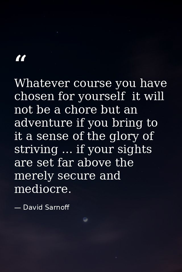 Whatever course you have chosen for yourself  it will not be a chore but an adventure if you bring to it a sense of the  — David Sarnoff