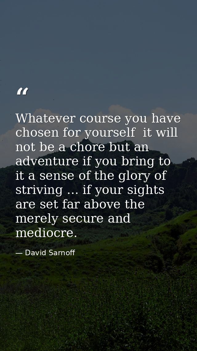 Whatever course you have chosen for yourself  it will not be a chore but an adventure if you bring to it a sense of the  — David Sarnoff