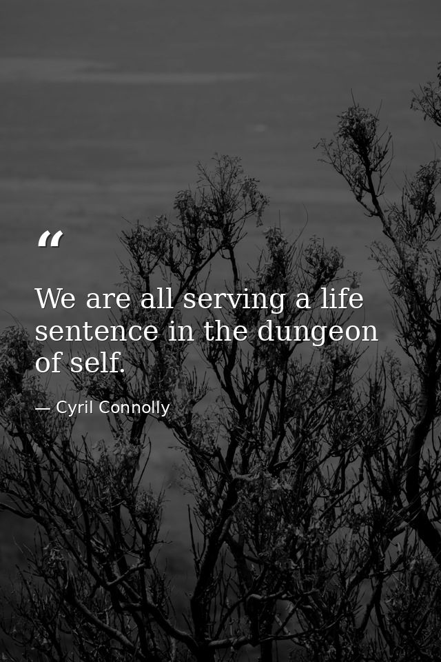 We are all serving a life sentence in the dungeon of self. — Cyril Connolly