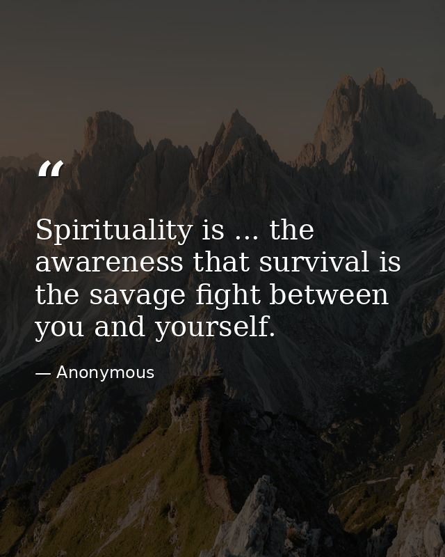 Spirituality is ... the awareness that survival is the savage fight between you and yourself. — Anonymous