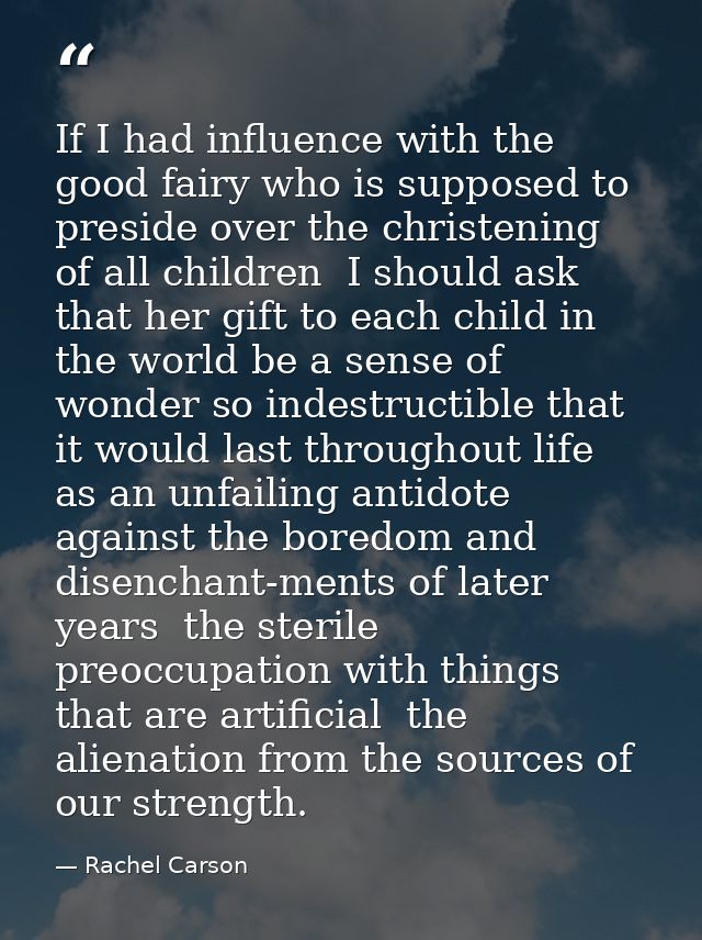 If I had influence with the good fairy who is supposed to preside over the christening of all children  I should ask tha — Rachel Carson