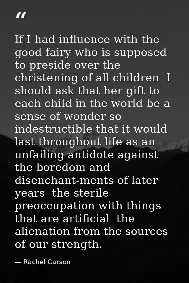 If I had influence with the good fairy who is supposed to preside over the christening of all children  I should ask tha — Rachel Carson