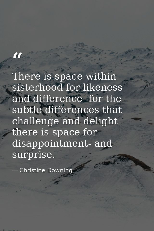 There is space within sisterhood for likeness and difference  for the subtle differences that challenge and delight  the — Christine Downing