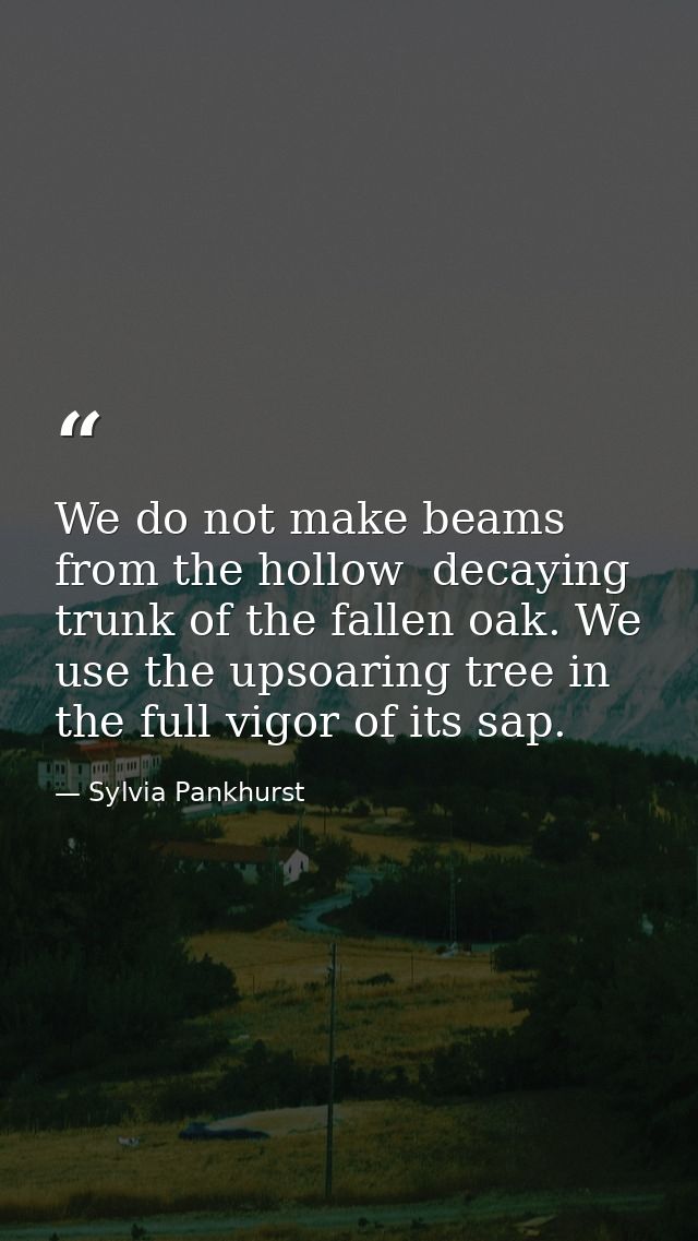 We do not make beams from the hollow  decaying trunk of the fallen oak. We use the upsoaring tree in the full vigor of i — Sylvia Pankhurst