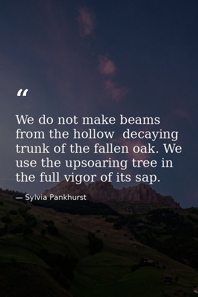 We do not make beams from the hollow  decaying trunk of the fallen oak. We use the upsoaring tree in the full vigor of i — Sylvia Pankhurst