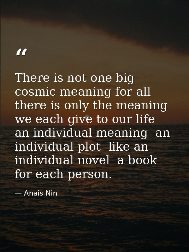 There is not one big cosmic meaning for all  there is only the meaning we each give to our life  an individual meaning   — Anais Nin
