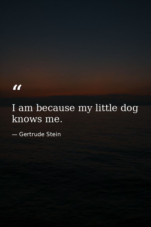I am because my little dog knows me. — Gertrude Stein
