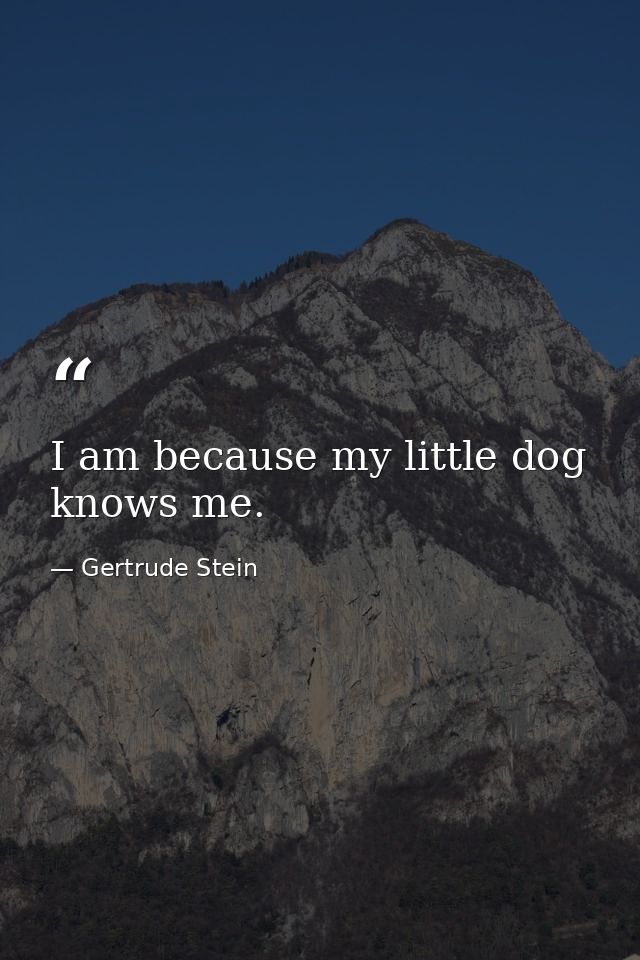I am because my little dog knows me. — Gertrude Stein