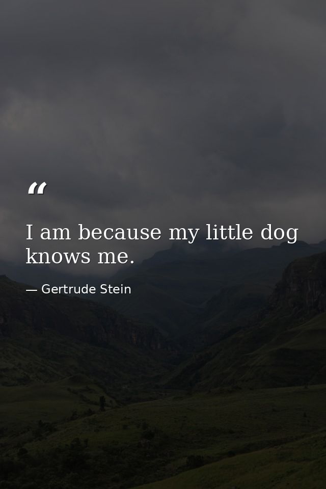 I am because my little dog knows me. — Gertrude Stein