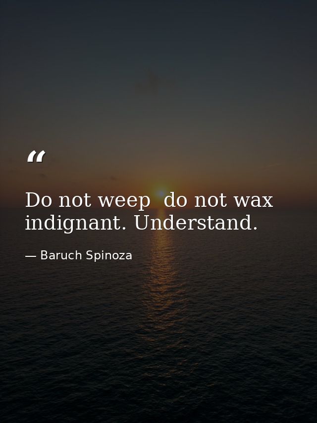 Do not weep  do not wax indignant. Understand. — Baruch Spinoza