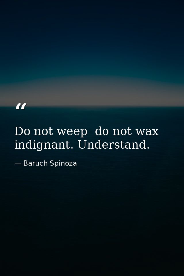 Do not weep  do not wax indignant. Understand. — Baruch Spinoza