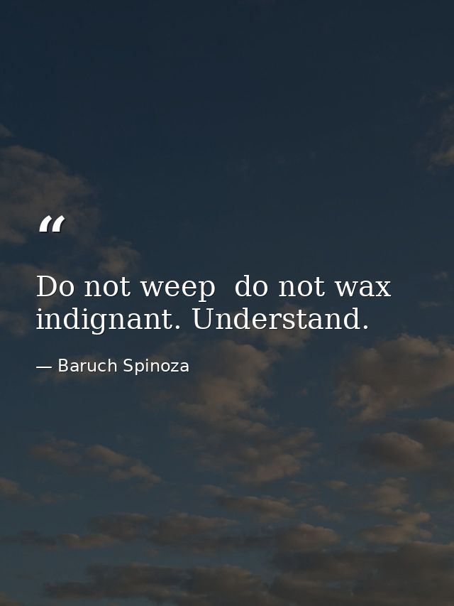 Do not weep  do not wax indignant. Understand. — Baruch Spinoza