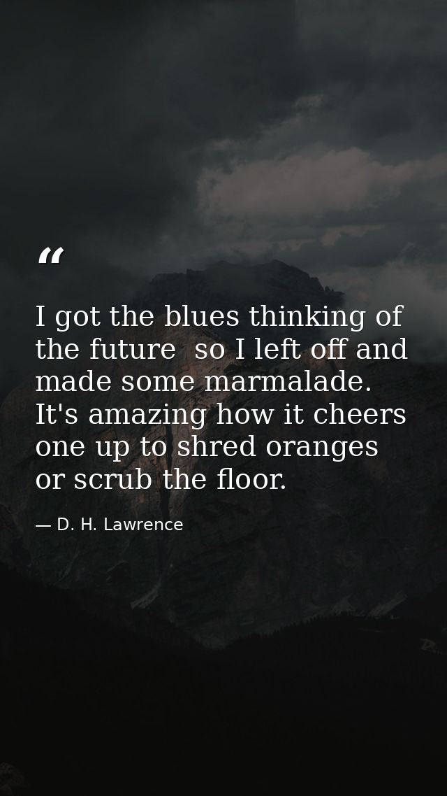I got the blues thinking of the future  so I left off and made some marmalade. It's amazing how it cheers one up to shre — D. H. Lawrence