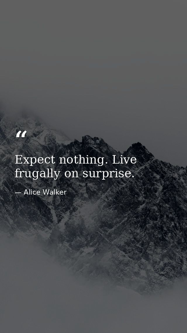Expect nothing. Live frugally on surprise. — Alice Walker