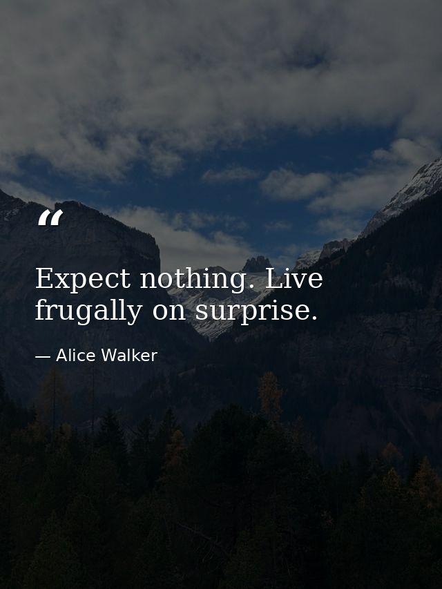 Expect nothing. Live frugally on surprise. — Alice Walker