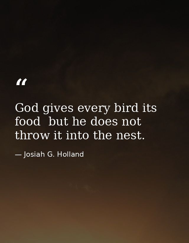 God gives every bird its food  but he does not throw it into the nest. — Josiah G. Holland